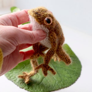 FROG Knitting Pattern