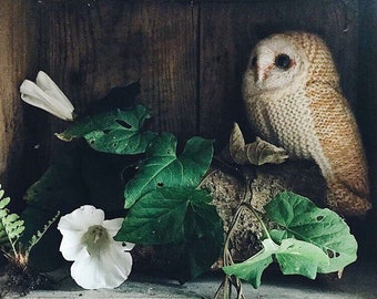 SPECIAL OFFER Knitting Pattern - Barn Owl