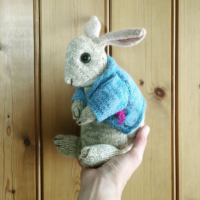 KNITTING PATTERN Peter Rabbit | Etsy