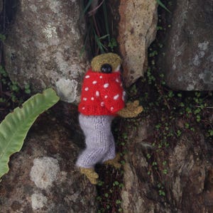 Peut inclure: Une grenouille en peluche tricot&eacute;e portant un pull rouge &agrave; pois blancs et un pantalon gris. La grenouille grimpe sur un rocher avec des plantes vertes qui poussent autour.