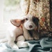 KNITTING PATTERN - Beagle Puppy 