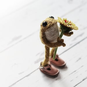 Patron au crochet crapaud crapaud image 1