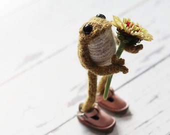 Patron au crochet crapaud crapaud