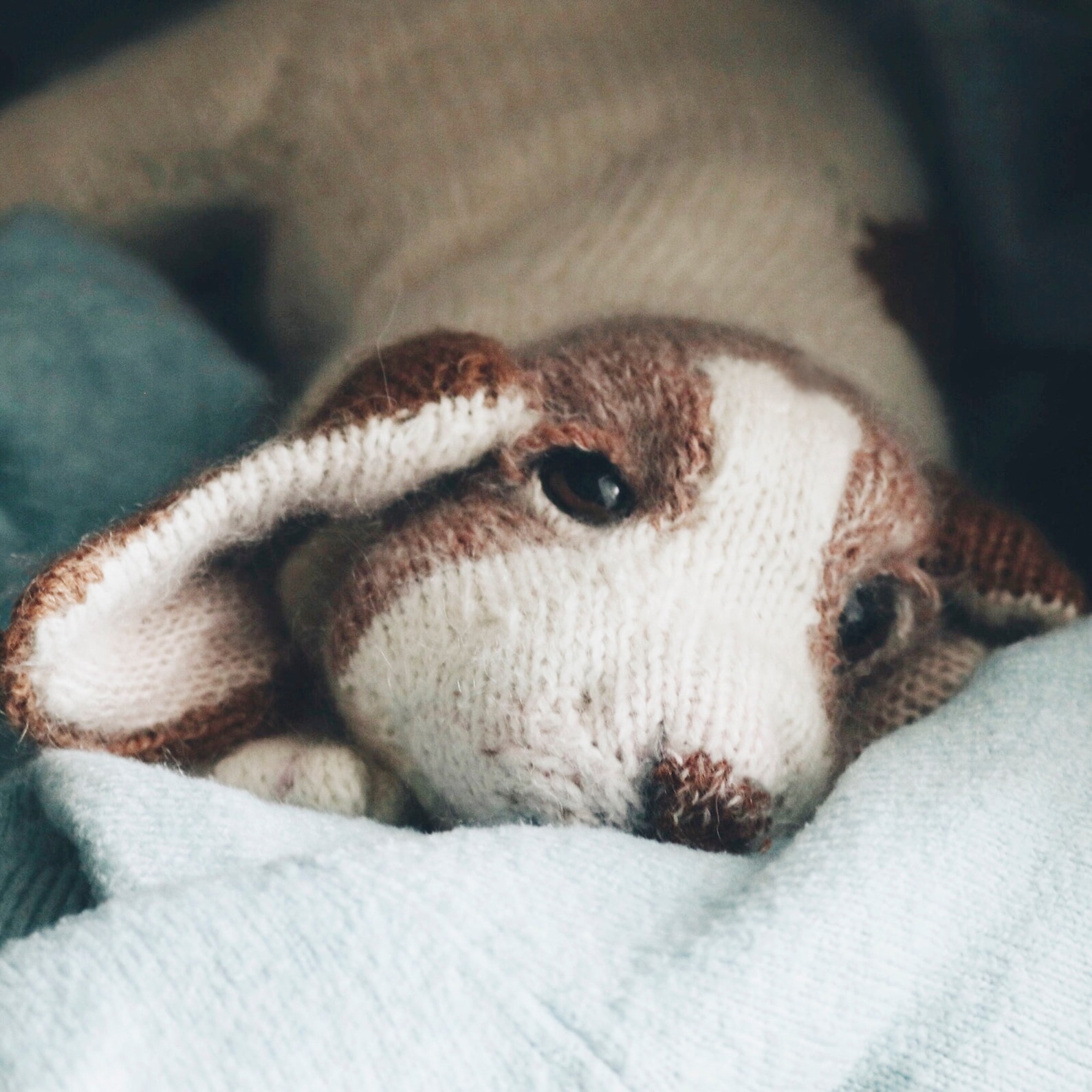 KNITTING PATTERN Beagle Puppy Etsy