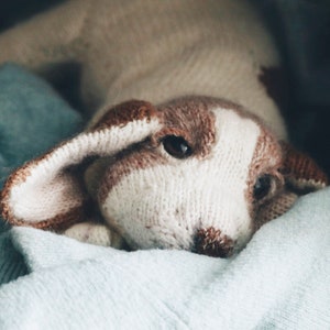 May include: A close-up of a knitted dog toy with brown and white fur. The toy is lying on a light blue blanket.