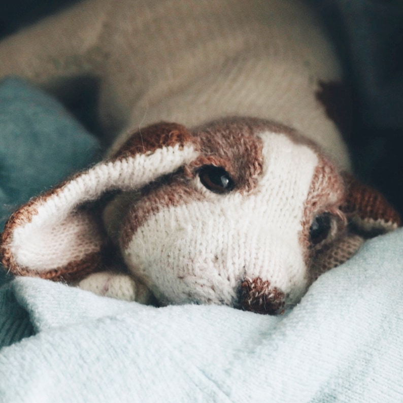 May include: A close-up of a knitted dog toy with brown and white fur. The toy is lying on a light blue blanket.