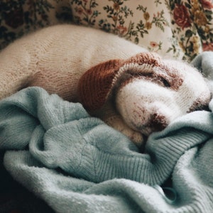 May include: A knitted dog toy in white and brown, lying on a blue knitted blanket.