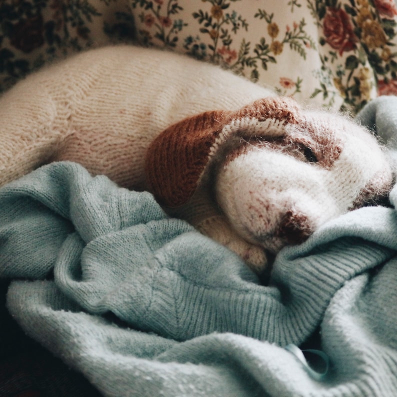 May include: A knitted dog toy in white and brown, lying on a blue knitted blanket.