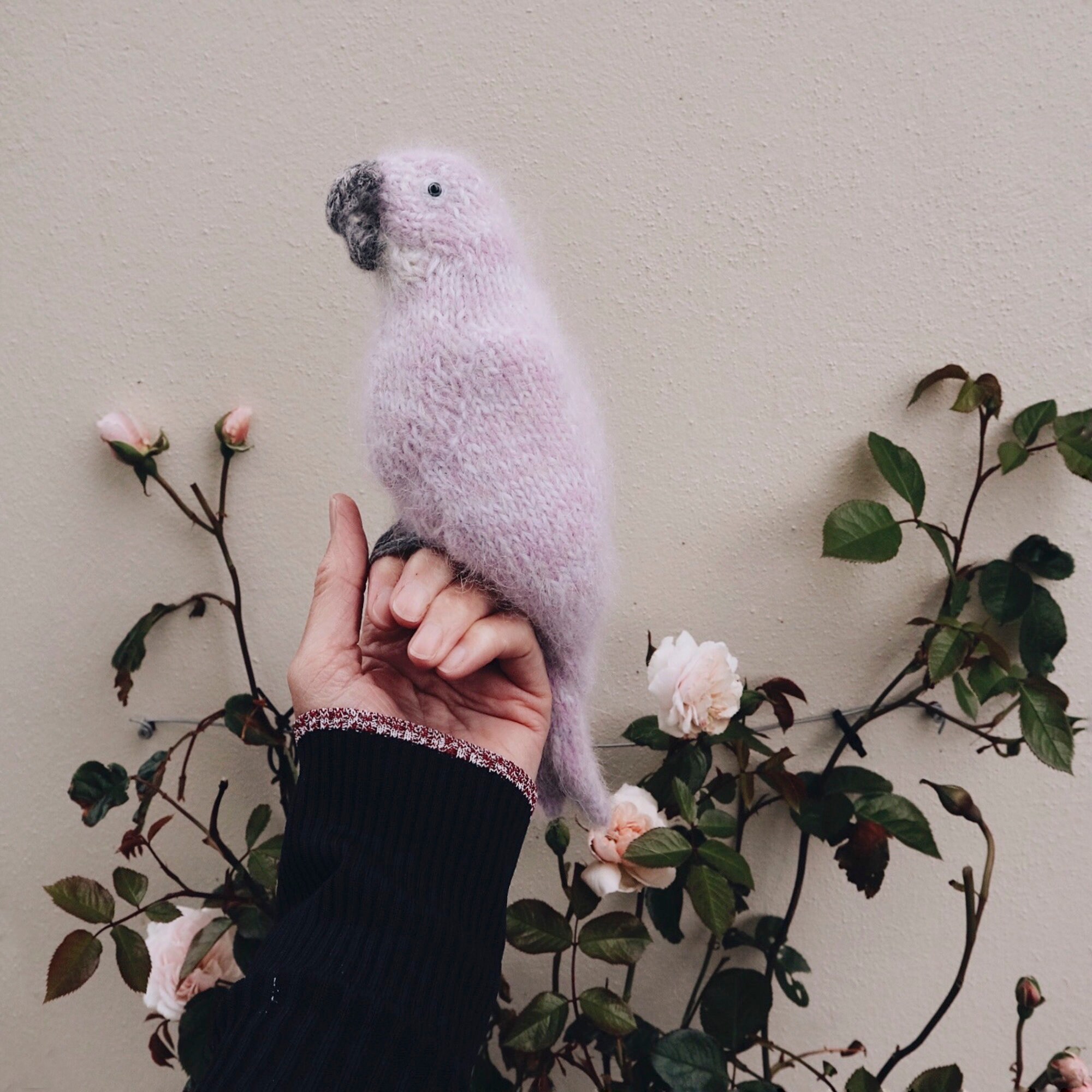 PARROT - Knitting Pattern
