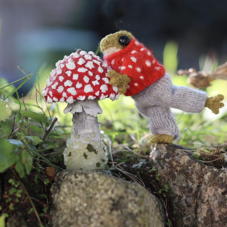 Peut inclure: Une grenouille en tricot portant un pull rouge &agrave; pois blancs et un pantalon gris se tient sur un rocher &agrave; c&ocirc;t&eacute; d'un champignon rouge et blanc.