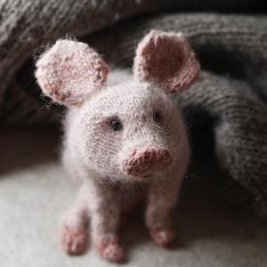 Può includere: Un maialino fatto a mano, lavorato a maglia con filato rosa chiaro. Il maiale ha grandi orecchie flosce, un muso pronunciato e piccoli occhi scuri. Il maialino è posizionato su una superficie neutra, con una coperta grigia lavorata a maglia sullo sfondo.
