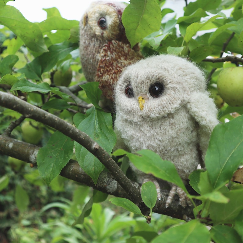 STICKBROTT - Owlet bild 10
