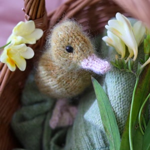 MODÈLE DE TRICOT - NOUVEAU Petit canard porte-bonheur