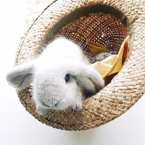 May include: A white knitted bunny rabbit toy inside a woven straw hat.