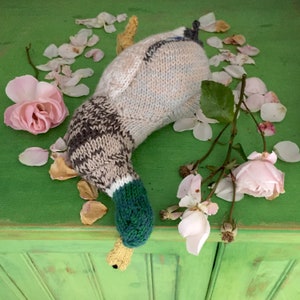 Mallard Duck Knitting Pattern image 4