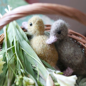 Puede incluir: Dos patitos tejidos, uno verde y otro amarillo, est&aacute;n acurrucados en una cesta de mimbre con follaje verde.
