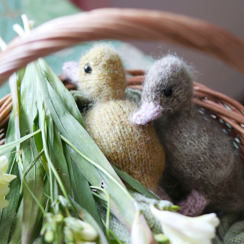 Puede incluir: Dos patitos tejidos, uno verde y otro amarillo, est&aacute;n acurrucados en una cesta de mimbre con follaje verde.