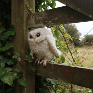 STICKBROTT - Owlet bild 7