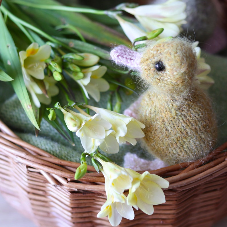 Puede incluir: Un juguete de patito tejido con un pico rosa y un pelaje amarillo-verde, sentado en una cesta de mimbre con un ramo de flores de freesia blancas.