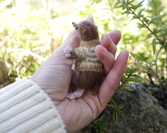 Patrón de tejido digital MUÑARILLA más SUÉTER