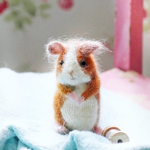 Guinea Pig - KNITTING PATTERN