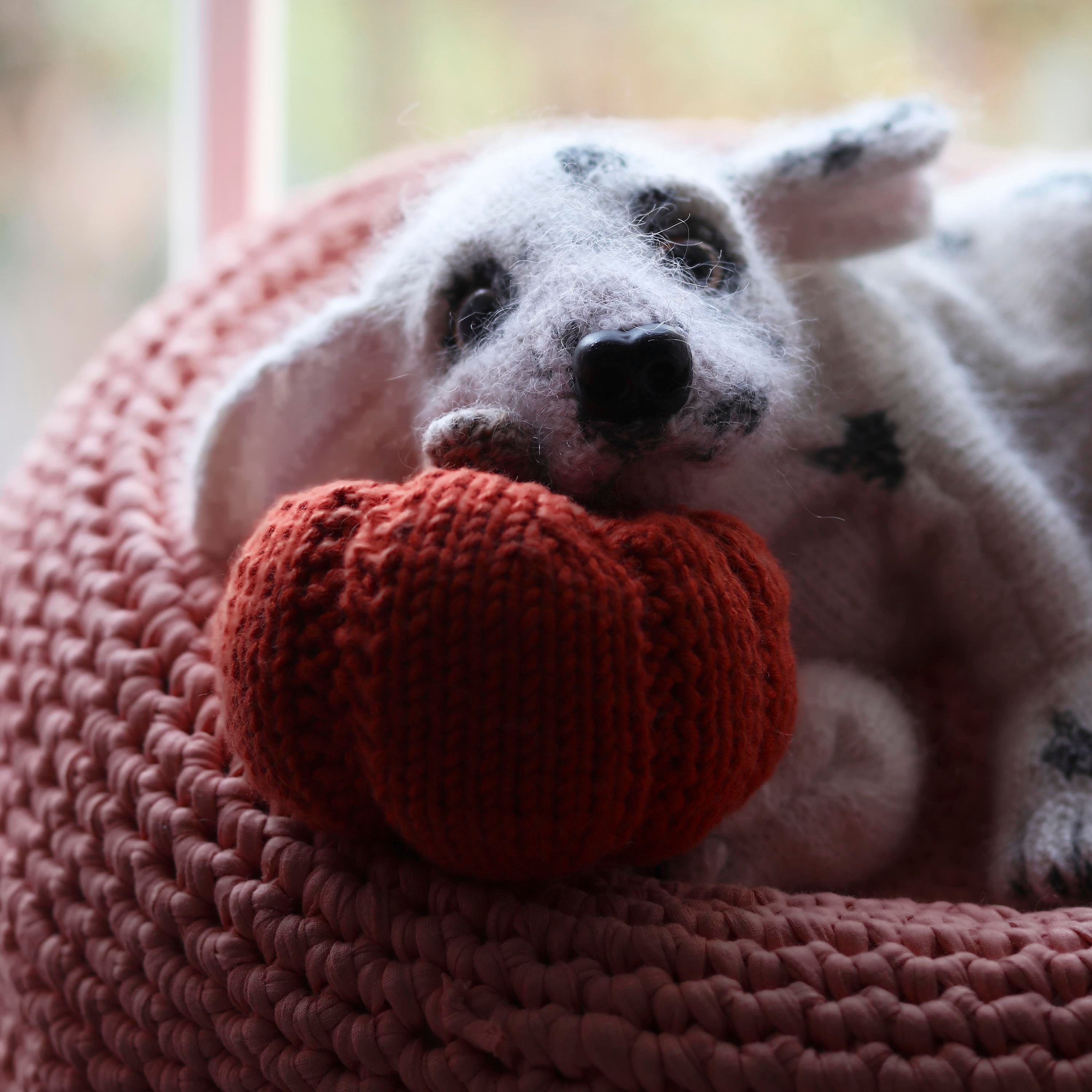 DALMATIAN PUPPY - Knitting Pattern - Etsy