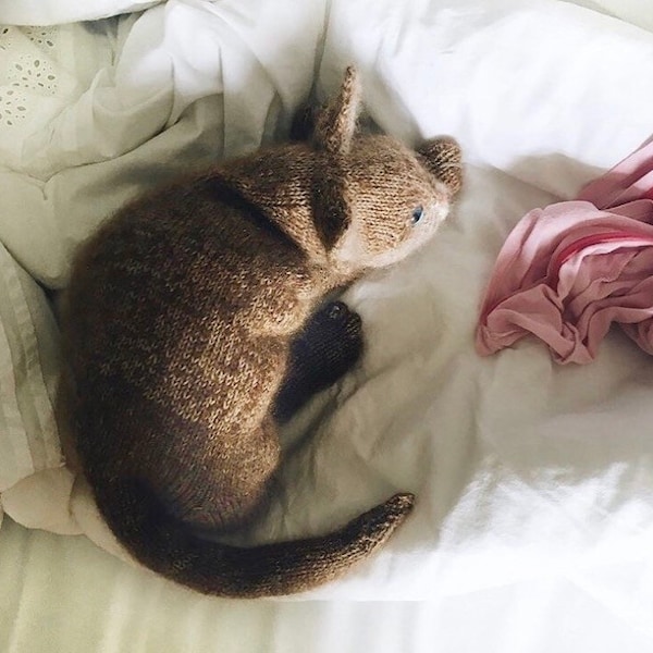 Cat Knitting Pattern Etsy