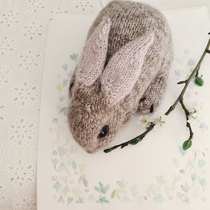 SPECIAL PRICE knitting pattern Baby Bunny Aussi en Français image 7