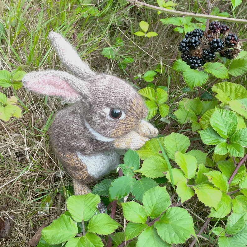 KNITTING PATTERN Wild Rabbit image 6