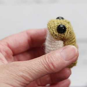 CROCHET TOAD crochet pattern image 9