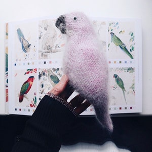 May include: A hand holding a pink knitted parrot toy. The parrot is soft and fluffy, with a light pink color. The hand is holding the parrot by its body, and the parrot's head is tilted to the side.