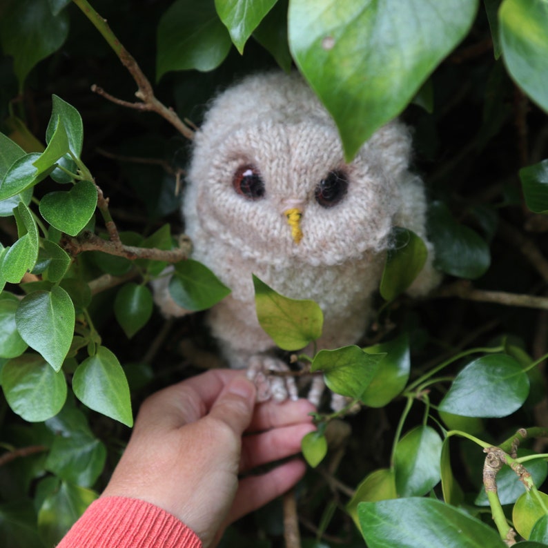 STICKBROTT - Owlet bild 3