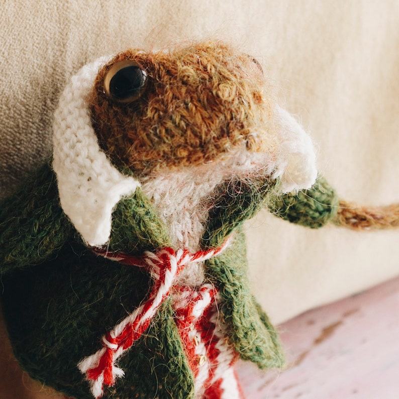 MR. TOAD Knitting Pattern image 9