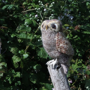 SPECIAL OFFER Knitting Pattern - New Pattern Tawny Owl