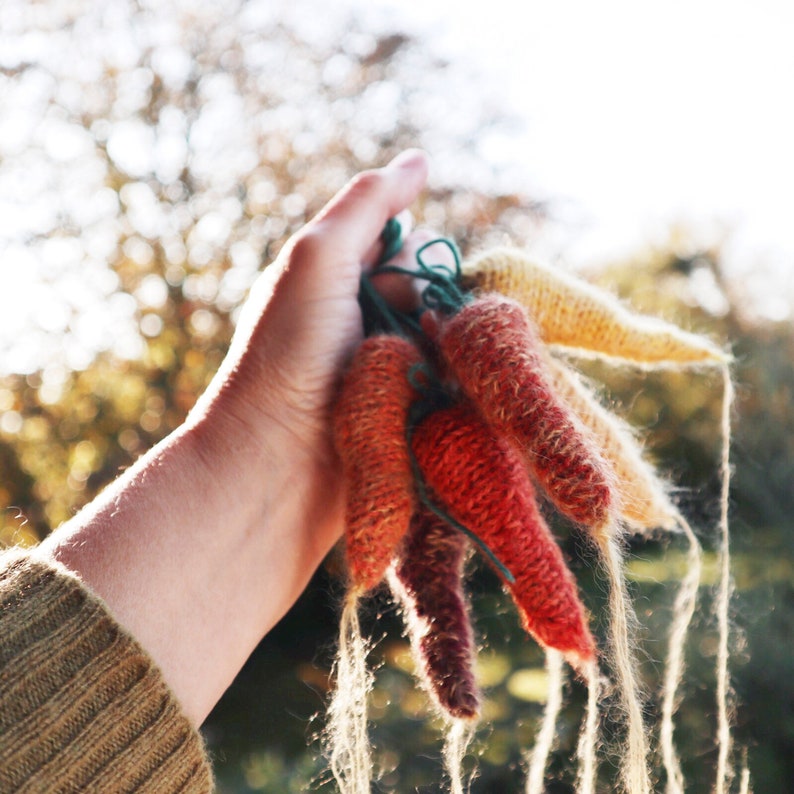 KNITTING PATTERN Heritage Carrots image 6