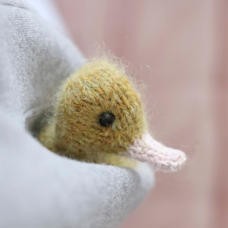 Puede incluir: Un peque&ntilde;o juguete de peluche de patito amarillo con un pico rosa, sostenido en una mano.