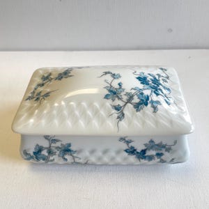 Bernardaud Limoges täckt smörskål, modell Saint Saens, franskt porslin, elegant vintageblå dekoration - vintage blomsterdesign