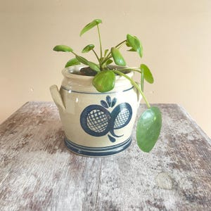 Puede incluir: Una vasija de cerámica beige con dos asas laterales y un motivo floral pintado en azul con un patrón de rejilla. La vasija contiene una planta Pilea peperomioides verde con hojas redondas que se extienden sobre el borde y el costado.