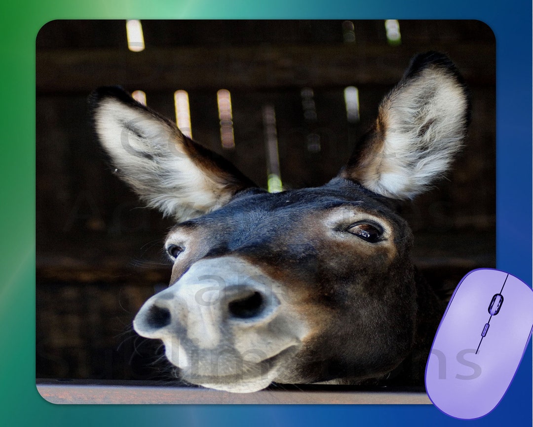 Alfombrilla ratón JACKASS MULE Burro Etsy España