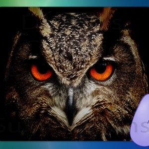 May include: A computer mouse pad featuring a close-up of an owl's face with intense orange eyes. The owl's feathers are brown and tan, set against a black background. A purple computer mouse is in the lower right corner.