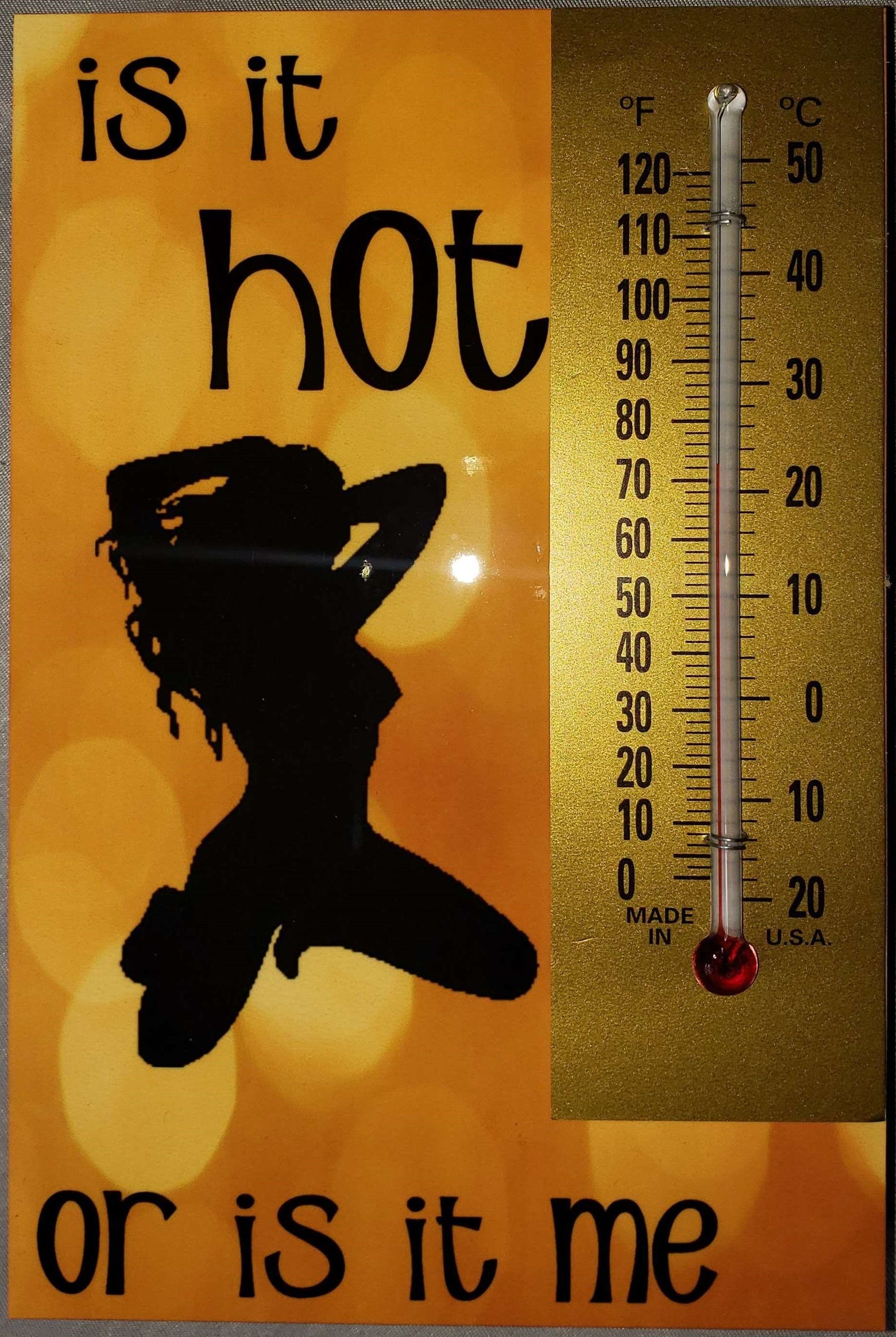 Sexy and Hot Lady Indoor Thermometer and Sign Etsy