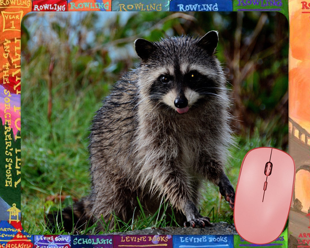 Fun Raccoon Mouse Pad - Etsy