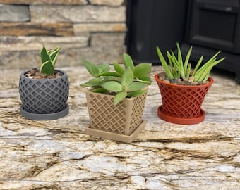 Modern Succulent Planter Pots: Desk & Home Decor