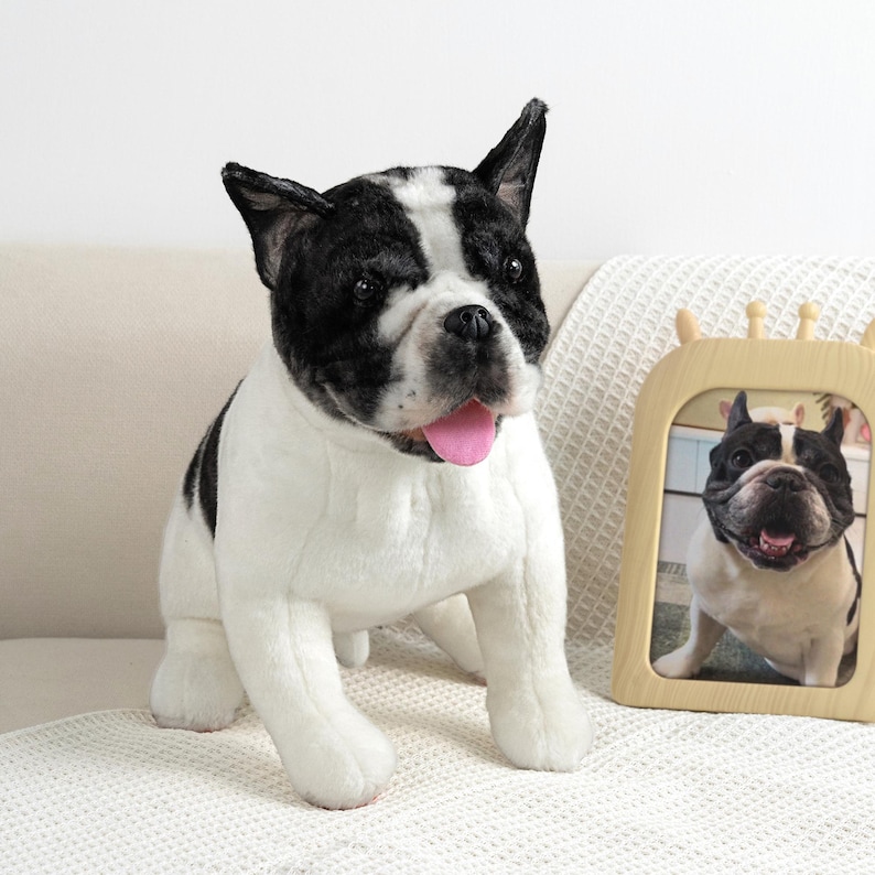 Custom Pet Doll | Handmade Dog Keepsake Gift | Custom Pet Dolls Based on Photos | Memorializing Pets | Pet Loss | Condolence Gifts