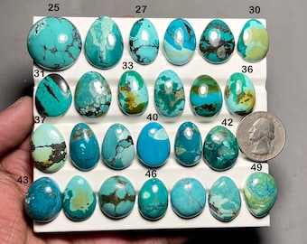 Op de afbeelding: Een verzameling turkoois edelstenen in verschillende vormen en tinten blauw en groen. De edelstenen zijn genummerd en gerangschikt op een wit oppervlak. Een munt is inbegrepen ter vergelijking van de grootte. De edelstenen hebben unieke patronen en texturen.