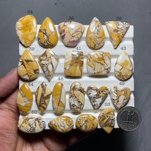 May include: A collection of polished gemstones in various shapes, including teardrop, oval, and heart. The stones feature a mix of yellow, brown, and cream colors with unique veining patterns. A U.S. quarter coin is included for size reference.