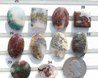 Natural Indonesian Moss Agate Cabochon: AAA+ Quality Healing Crystal