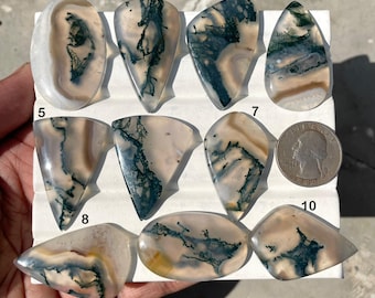 May include: A collection of ten polished moss agate gemstones, each with unique patterns of green, white, and tan. The stones vary in shape, including oval, teardrop, and irregular forms. A U.S. quarter is included for size reference.