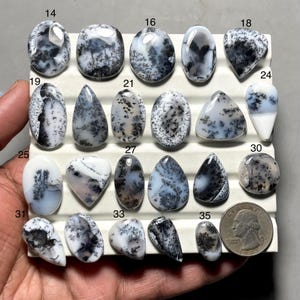 Peut inclure: Une collection de pierres précieuses en agate dendritique polie de différentes formes, dont ovales, en forme de goutte et irrégulières. Les pierres présentent des motifs blancs, gris et noirs, ressemblant à des paysages naturels. Une pièce de monnaie est incluse pour la référence de taille.