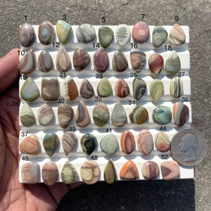 May include: A collection of polished gemstones in various shapes and colors, including oval, teardrop, and rectangular forms. The stones are displayed on a white tray, with a quarter for size comparison. Colors range from pinks and browns to greens and grays.